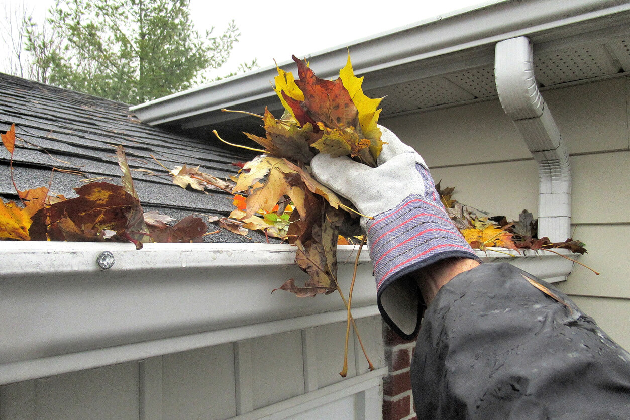 gutter cleaning service