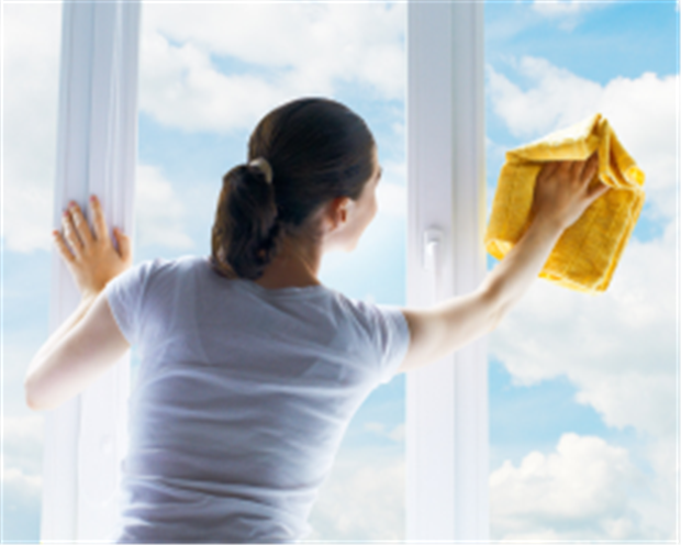 Expert window cleaning
